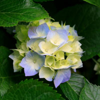 Thumbnail for the listing's main image